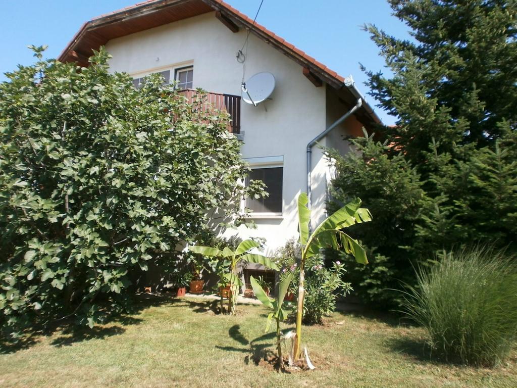 צ'רסגטומאי Feher Rozsa Apartman מראה חיצוני תמונה